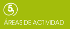 Areas de actividad