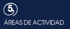 Areas de actividad